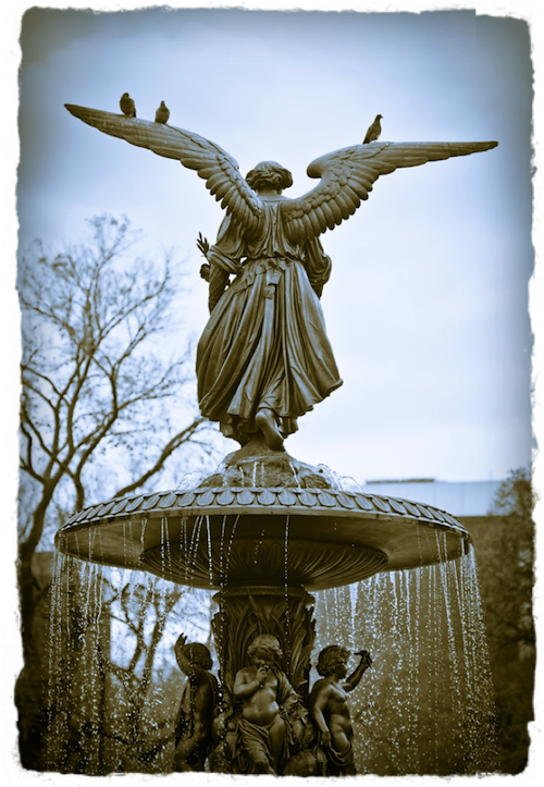 Bethesda Fountain CC-BY Robert Salnave
